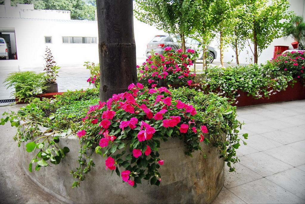 Tramas Andinas Aparthotel Salta Esterno foto